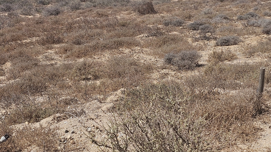 0 Bedroom Property for Sale in Harbour Lights Western Cape